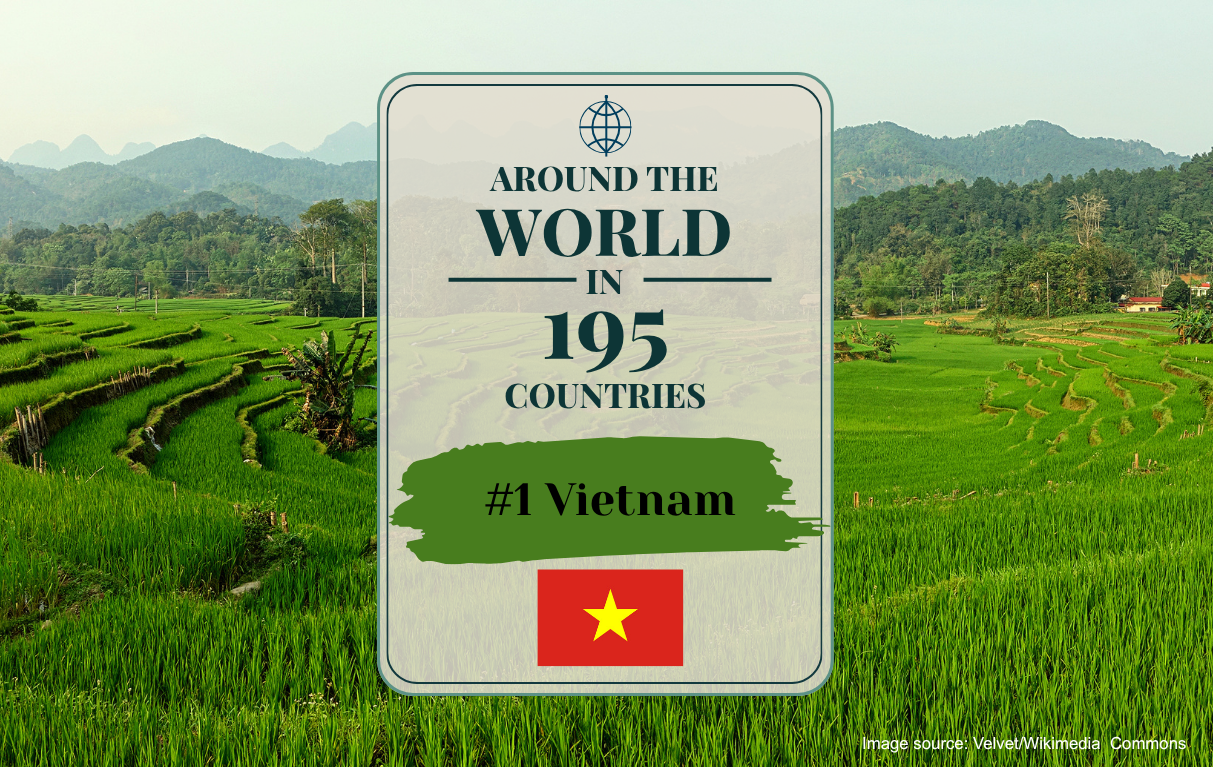 Country #1: Vietnam (Phở Gà)