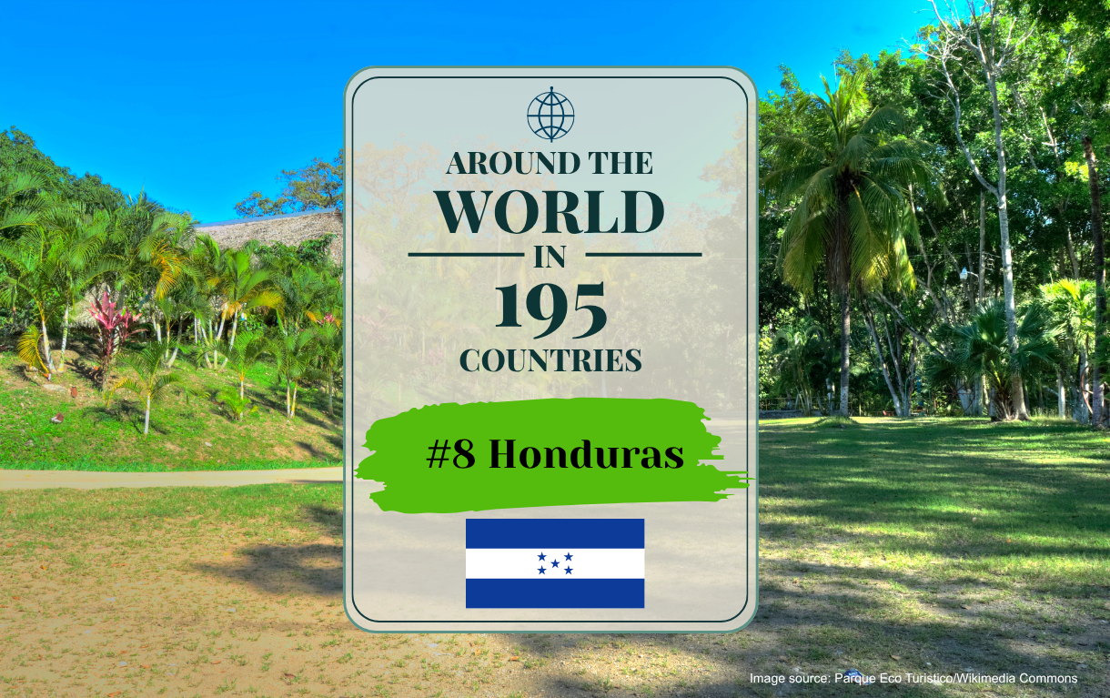 Country #8: Honduras (Pollo Chuco)